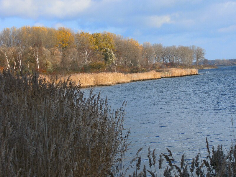 File:Travemünde-priwall-rundweg-blick-ostwärts-auf-pötenitzer-wiek.JPG