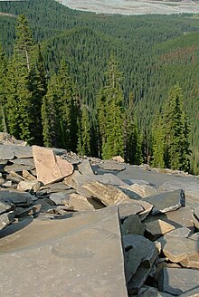 The view from the Mount Stephen trilobite beds, with anomalocaridid claws visible on a slab in the foreground, the Canadian Pacific Railway is visible in the distance. Trilobite Beds view.jpg