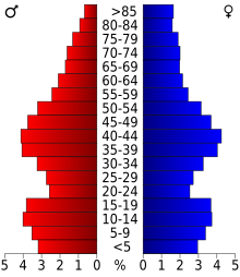 2000 Census Age Pyramid for Wood County