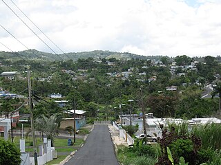 <span class="mw-page-title-main">Unibón</span> Barrio of Morovis, Puerto Rico