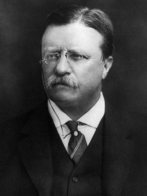 The incumbent in 1908, Theodore Roosevelt. His second term expired at noon on March 4, 1909.