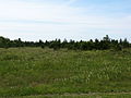 Thumbnail for Vääna Landscape Conservation Area