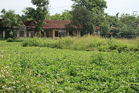 Võ miếu (Huế)