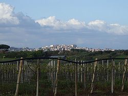 Panorama o Velletri