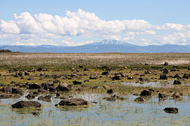 Platô coberto por um lago, pedras e grama com um vulcão coberto de neve ao fundo.