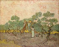 Vincent van Gogh - Vrouwen olijven plukken.jpg