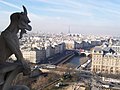 Vista des de Notre Dame