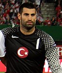 Volkan Demirel Turkey.jpg