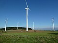 Windkraftanlagen auf der „Alten Höhe“
