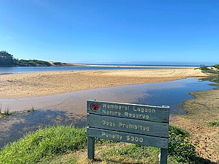 Wamberal Lagoon lake in Australia