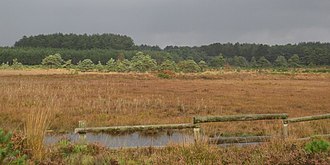 View over Decoy Heath Wareham Forest Walk - Decoy Heath - geograph.org.uk - 1550414.jpg