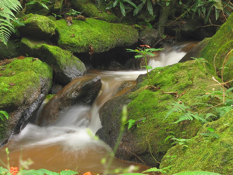 File:Waterfall in Paulo de Frontin.jpg