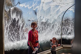 An adult and child stand in front of an arching window on which a wave has just crashed