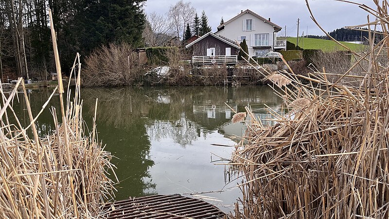 File:Weiher Sandbüel 2.jpg