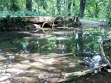 Werrenhäuslesgraben im Naturschutzgebiet Weingartener Moor