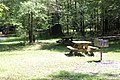 Picnic area near Peacock Spring