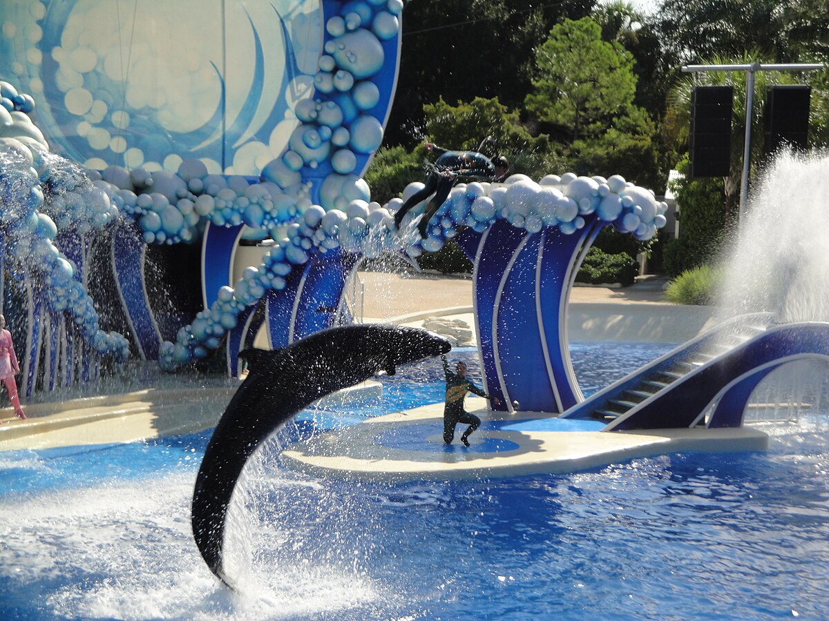 SEAWORLD Orlando Dolphins. SEAWORLD Orlando бассейны.