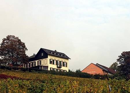 Wiesbaden Frauenstein Nürnberger Hof