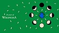 Lunar cycle on green background