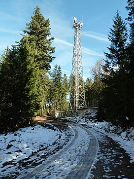 Windeckkopf Mast.JPG