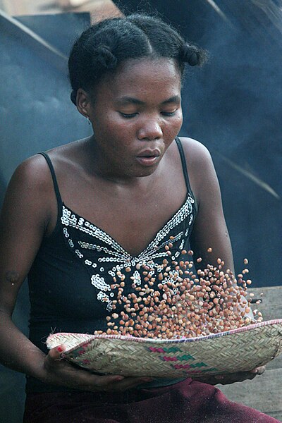 File:Winnowing peanuts - Madagascar.jpg