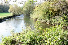 Confluence de la Wipper (à gauche) et de la Kerspe (à droite), qui deviennent la Wupper (au fond).