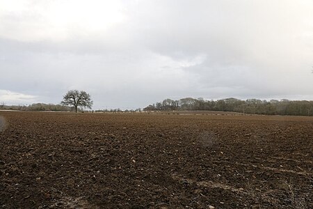 Woodeaton Wood (geograph 3892481)