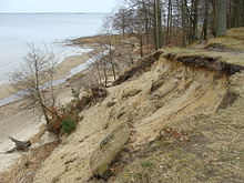 Inland dune and southern shore of Szczecin Lagoon in Ueckermunde Heath between Brzozki and Trzebiez, Police County, Poland Wydma.JPG