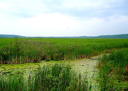 Wye Marsh View 1