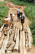 Pont de registre al Zaire, format per múltiples registres paral·lels