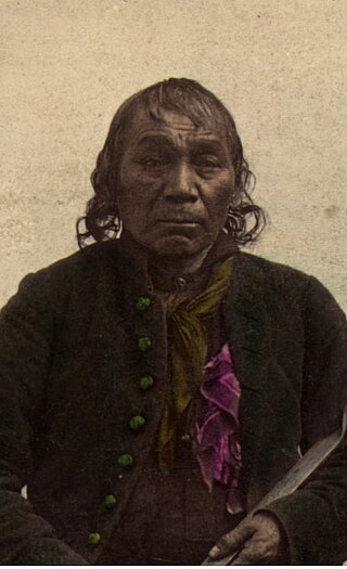 <span class="mw-page-title-main">Aamoons</span> Ojibwe leader (1790s–1866)