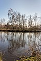 Zicht op de poel en de eilandjes.