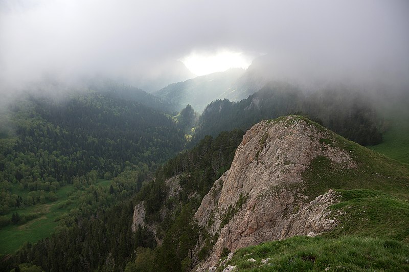 File:"Caucasus Nature Reserve", Каньон реки Шиша, Северная граница Кавказского заповедника.jpg