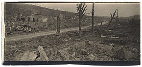 (Ruines du village d'Allemant) - Fonds Berthelé - 49Fi1774.jpg