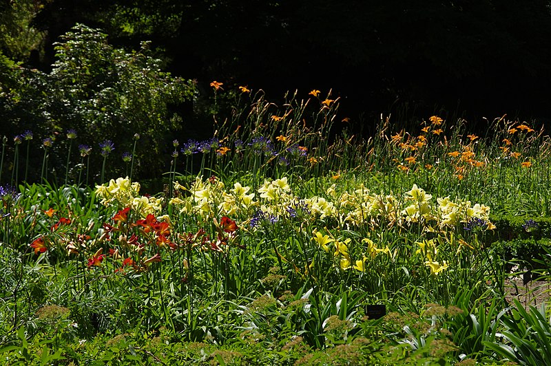 File:®s K3 SD Ð ┼ MADRID JARDINES según KATRESYA - panoramio (29).jpg