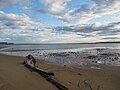 Thumbnail for Ōtūmahana Estuary