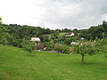 Čeština: Sad ve Štěpanicích. Okres Jičín, Česká republika. English: Orchard in Štěpanice village, Jičín District, Czech Republic.