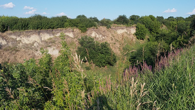 File:Білогородський горб, Києво-Святошинський район.jpg