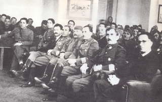 <span class="mw-page-title-main">Montenegrin Anti-Fascist Assembly of National Liberation</span> Political organ of the resistance in Montenegro during World War II