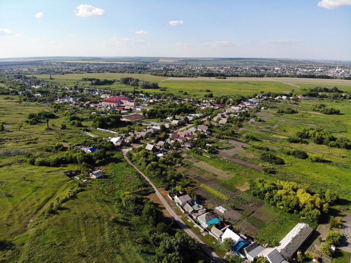 Поселок центральный воронежская область. Сельское поселение село Ворсино.