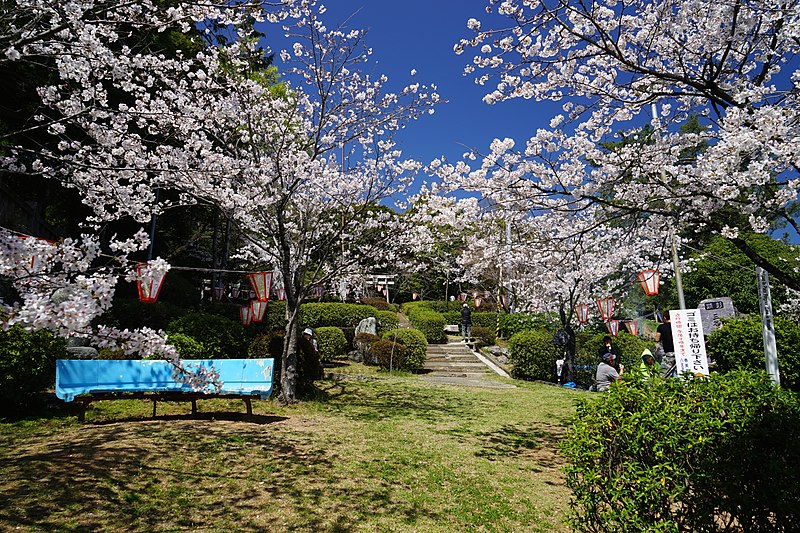 File:八王子宮の桜 - panoramio.jpg