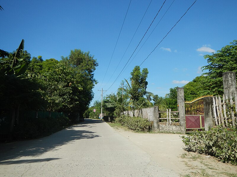 File:04826jfFarm Roads Gulap Santo Rosario Poblacion Candaba Pampangafvf 12.JPG