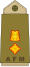 12.Ejército de Malta-LTC.svg