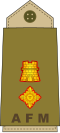 12. Armée de Malte-LTC.svg