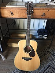 12-String acoustic guitar