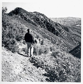 1963 - Pejalan kaki menuju ke Malduce Puncak di Dick Smith Wilderness.jpg