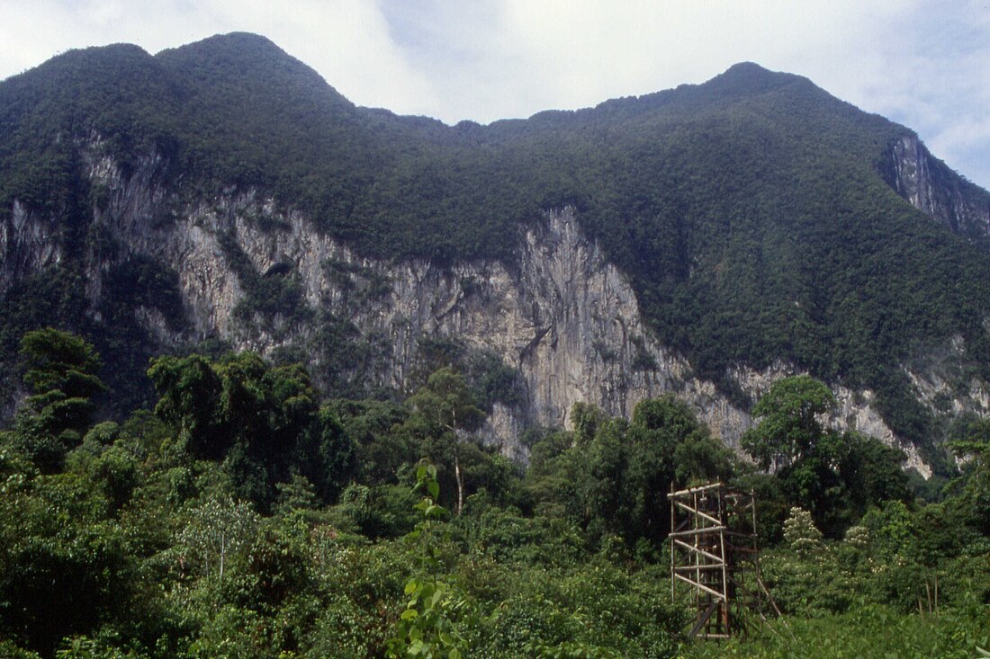 Nationalpark Gunung Mulu