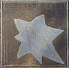 2018-07-18 Sterne der Satire - Walk of Fame des Kabaretts Nr. 75 Gerhard Woyda-1112.jpg