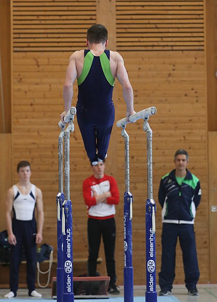 File:2019-04-13 Rheintalcup P6 Junior Switzerland competition parallel bars (Martin Rulsch) 005.jpg