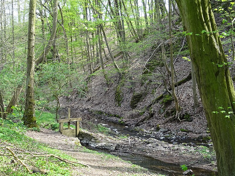 File:20190420-Dresden Zschonergrund.-127.jpg